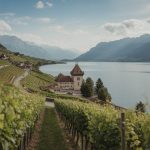 Les plus beaux musées gratuits à visiter à Genève pour une sortie culturelle en famille